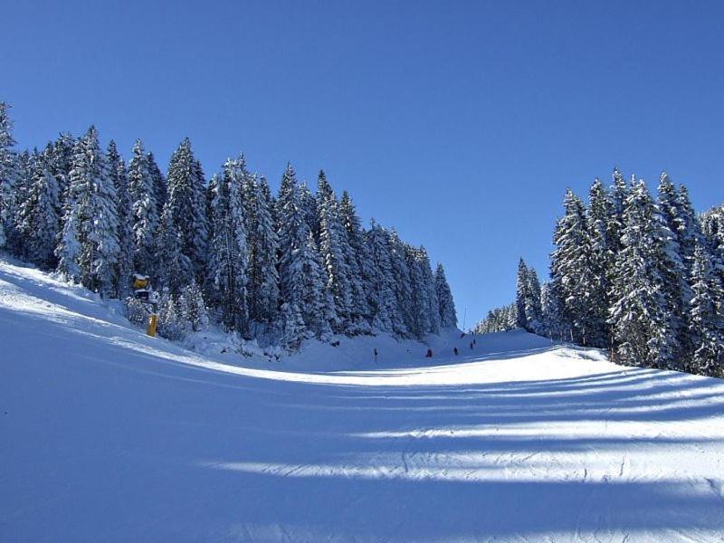 L&N Apartmani Kopaonik-Milmari Resort Buitenkant foto