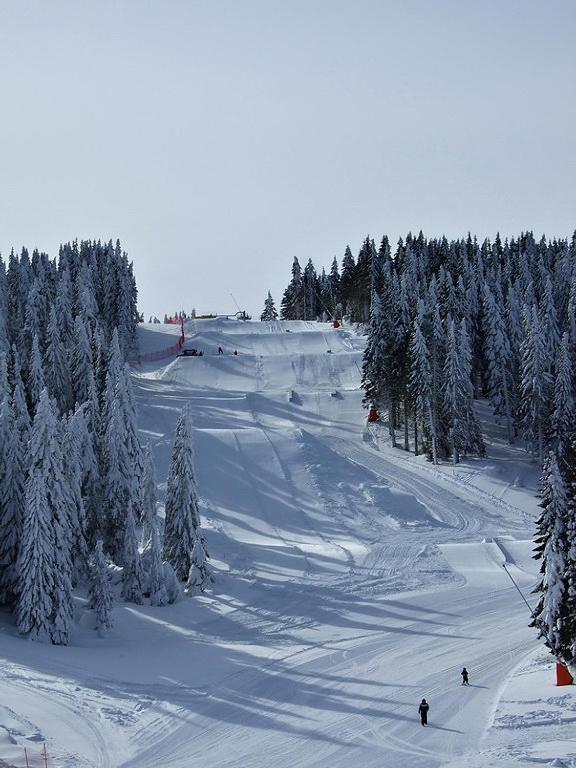 L&N Apartmani Kopaonik-Milmari Resort Buitenkant foto