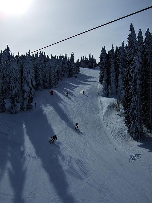 L&N Apartmani Kopaonik-Milmari Resort Buitenkant foto